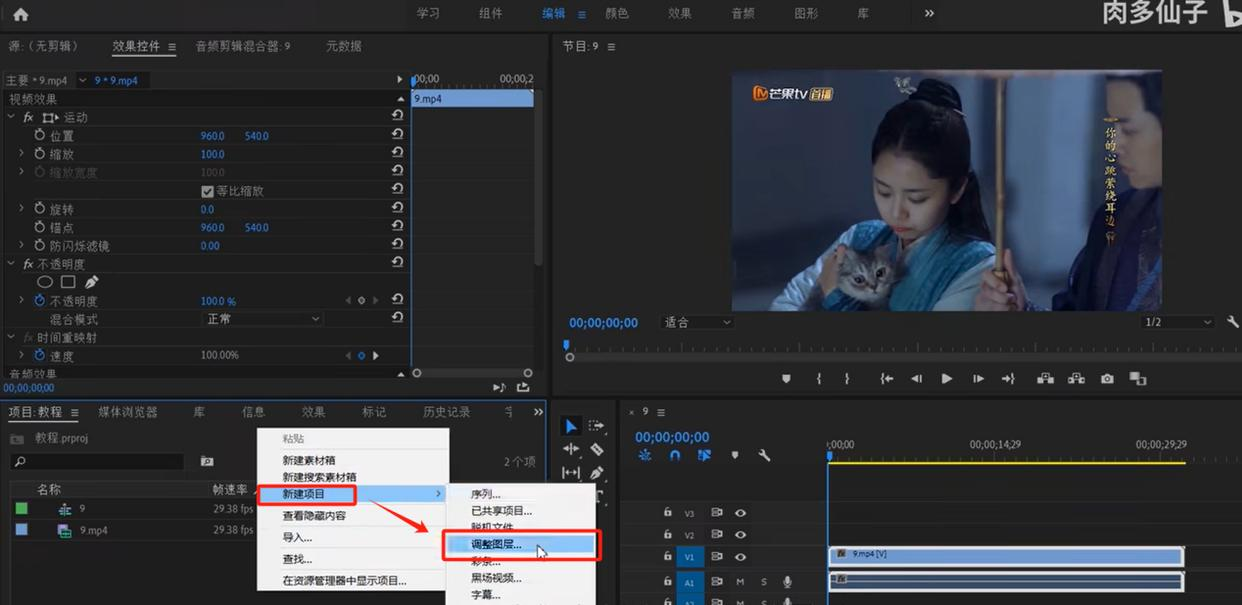 视频去除水印文字
