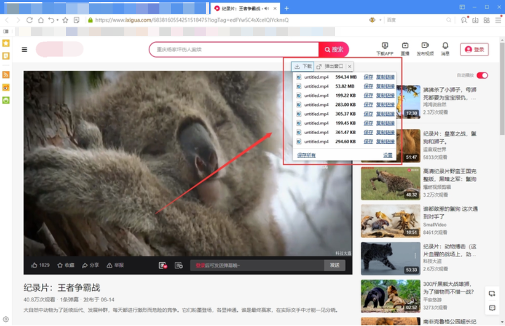 图片/视频无水印下载工具