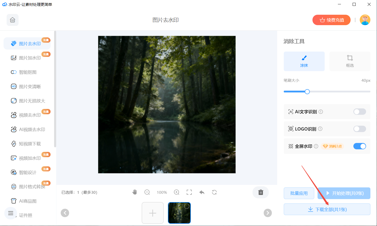 AI图片去水印工具 AI图片去水印工具