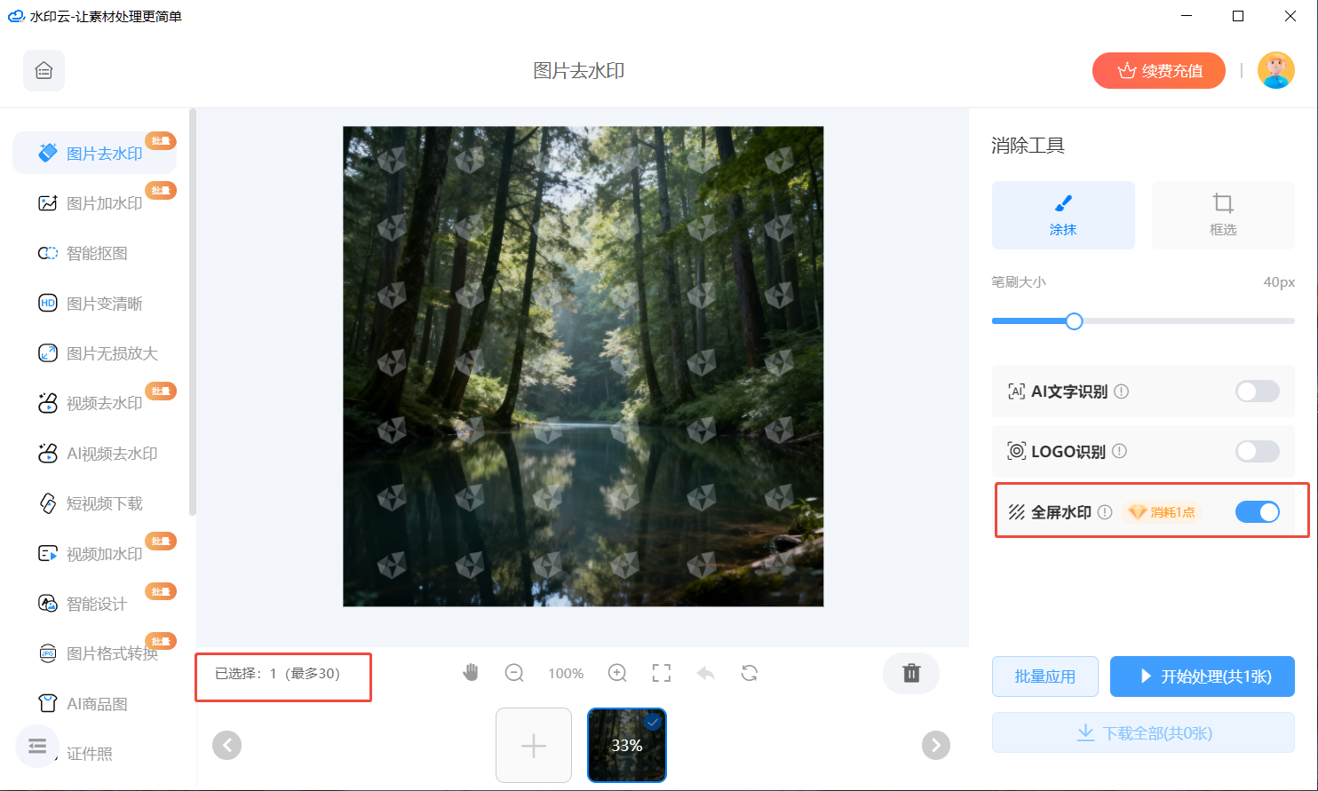 AI图片去水印工具 AI图片去水印工具