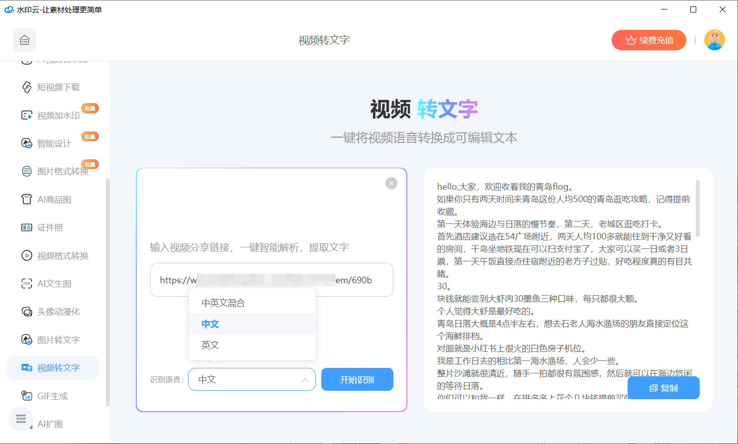 视频语音转文字工具
