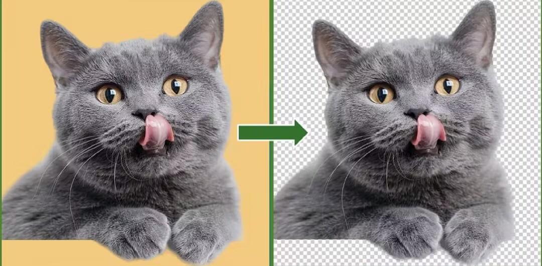 2026在线AI抠图软件测评