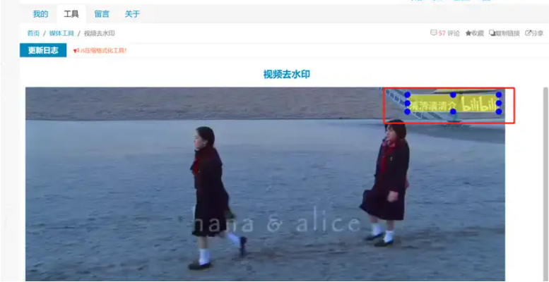 2026视频去水印工具实测