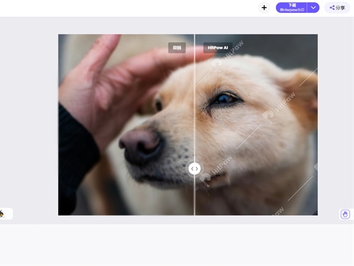 2026模糊照片变清晰AI修复工具 2026模糊照片变清晰AI修复工具
