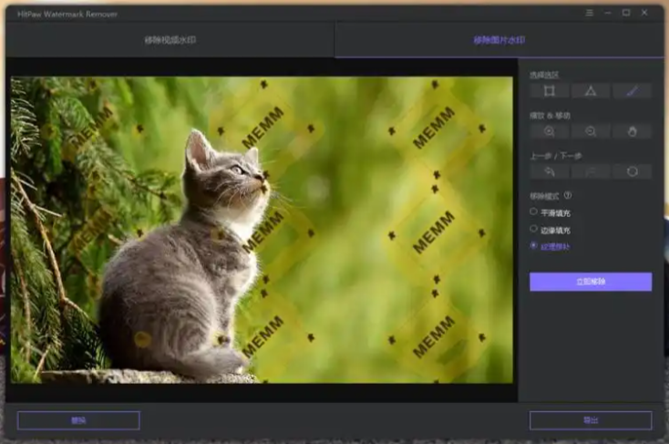 Aiseesoft Free Watermark Remover Online.png